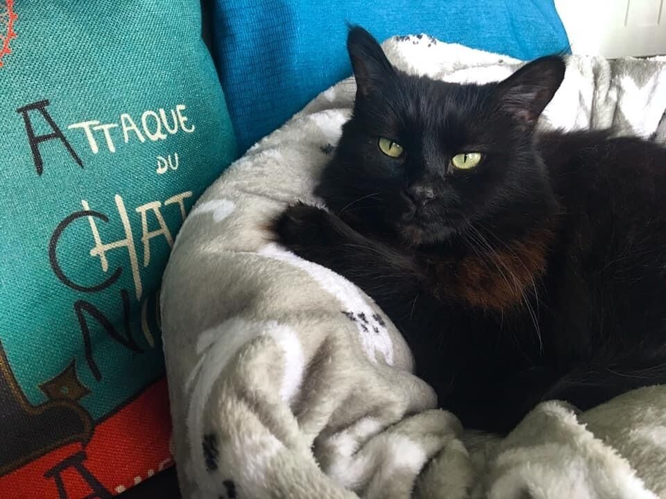 Gracie